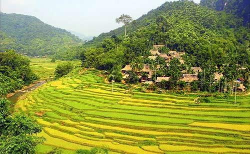 Hao Homestay Mai Châu Dış mekan fotoğraf