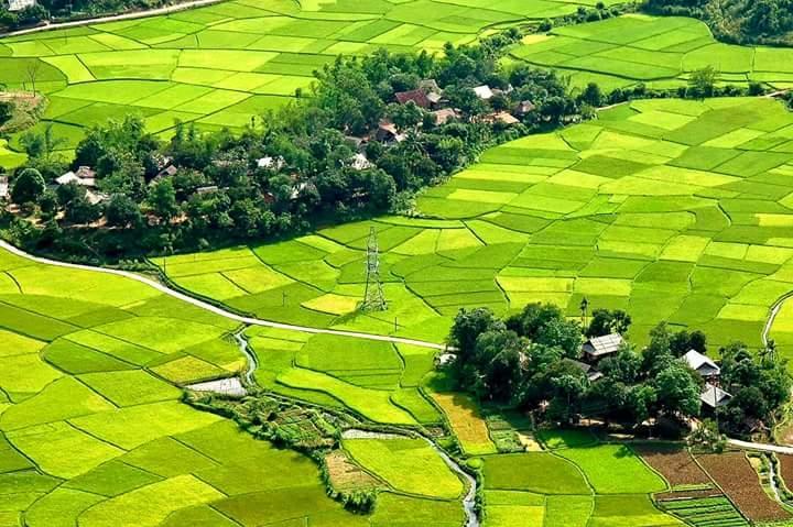 Hao Homestay Mai Châu Dış mekan fotoğraf