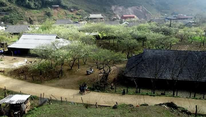 Hao Homestay Mai Châu Dış mekan fotoğraf