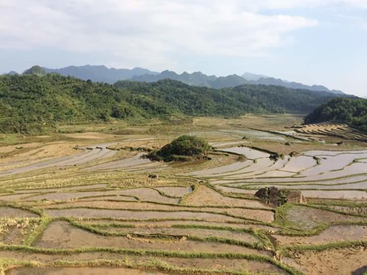 Hao Homestay Mai Châu Dış mekan fotoğraf